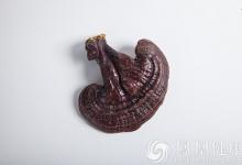 孫思邈為何能成為中國最長壽的藥王？告訴你他的長壽秘籍！