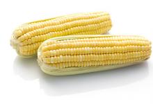 秋天腦梗高發怎么預防？多吃 6 種食物疏通血管