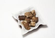  這一物竟是血管的天然支架