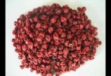 五味子能延緩衰老 食用需注意這些