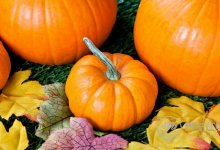 吃南瓜需要注意那些禁忌