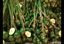 這種水果50%的男人都愛吃，毒性是砒霜10倍，別等到進醫院才后悔