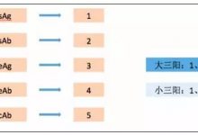 它是心臟和血管的保護傘！每周吃一次，血管清明人長壽！