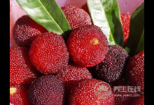 長期偏愛吃這五味，小心五臟要“鬧革命”了