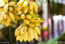 這些食物放進冰箱后 ，居然會變成致癌物！千萬要當心！