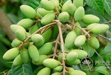 這4種食物很多人都不喜歡，卻是延年益壽的好法寶