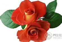 別看這5種食物常見，排毒暖胃就靠它們了！