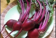 新發現：喝甜菜根汁，讓人跑的更快