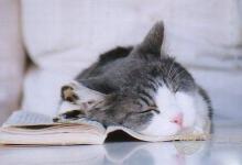 你經(jīng)常睡不好或者失眠？試試這些方法