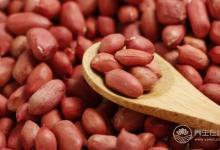 花生稱要這樣吃才營養(yǎng)