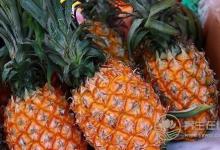 吃菠蘿會(huì)上火，別說(shuō)你不知道