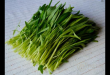 空心菜不僅口感脆嫩，它的功效更強大