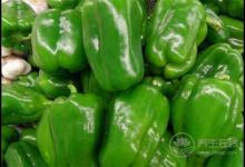 吃青椒好處多，你喜歡吃嗎？