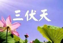 三伏天是失眠高峰期 如何才能睡個(gè)好覺(jué)?