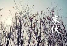 天高月明：伏日未盡 防暑降溫不能放松