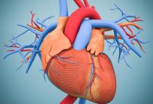 運(yùn)動(dòng)“健心”是長(zhǎng)壽的秘訣！