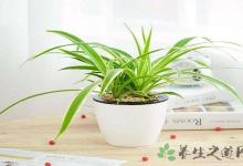 上班族吃什么防輻射