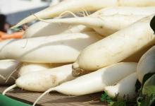 上班族胃不好怎么辦