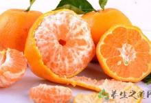 上班族日常吃什么水果好