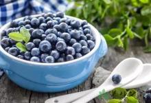 上班族男性吃什么補身體