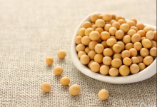 預防動脈硬化的食物有哪些？