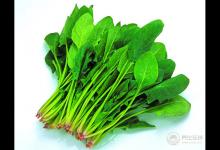 體重遲遲下不去？減肥期間吃這三樣，讓你瘦不停