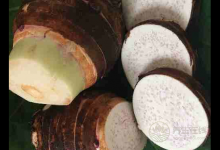 芋頭好吃又營養，養生的人可不能錯過它