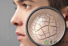 熬夜上班喝什么茶保養