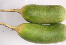 咳嗽有痰吃什么好的快