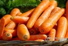 流鼻涕吃哪些食物好?