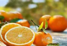 發(fā)燒不能吃哪些食物?