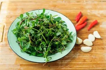 春天一定要吃的十四大黃金野菜