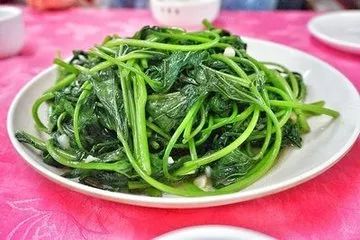 春天一定要吃的十四大黃金野菜