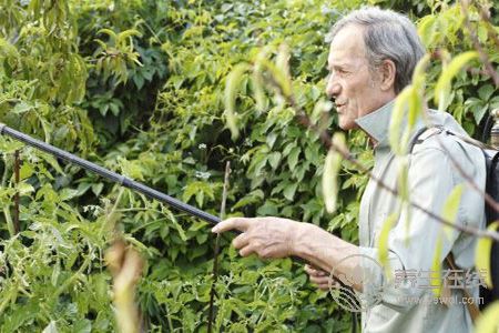 老人養(yǎng)生睡眠方法的禁忌是什么?