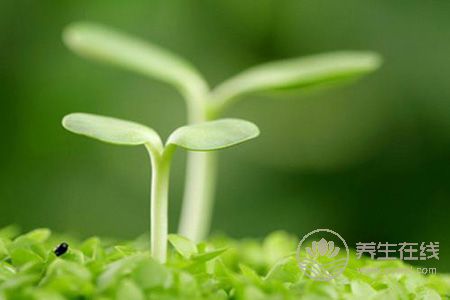 要牢記春季養(yǎng)生禁忌