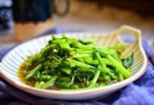 春天一定要吃的十四大黃金野菜