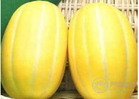 推薦六款瓜類(lèi)食譜 消暑解渴高效瘦身