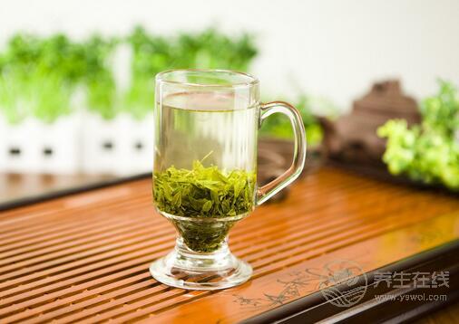 苦丁茶的作用與功效苦丁茶可以減肥嗎