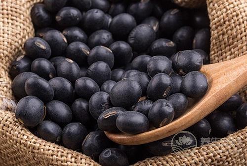 如何選購優質黑豆？黑豆有助防止大腦老化