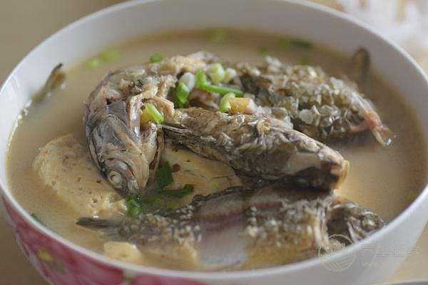 吃魚警惕四大禁忌 空腹吃魚導致“痛風”