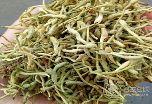 白開水泡這些東西，健康養(yǎng)生又養(yǎng)顏