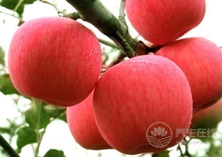 全世界人都愛它  一天吃幾個(gè)蘋果最好