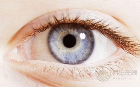 眼睛需要的營養素,哪些食物對眼睛好