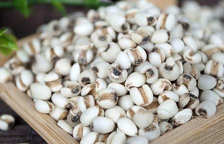 吃什么養(yǎng)生  薏米與這物搭配食用養(yǎng)生效果更佳