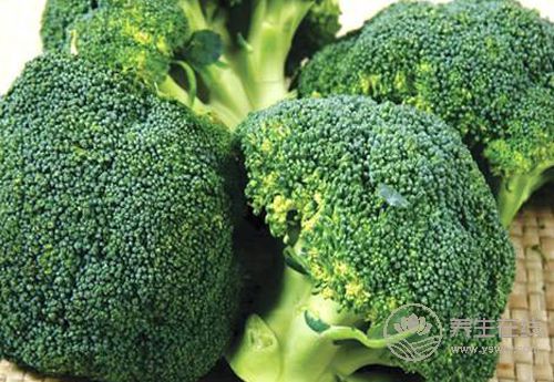 肝好的人，睡覺會有這些表現！養肝，這些食物要記住