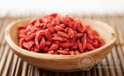 枸杞子泡水喝的功效與禁忌  亂喝它竟會上火流鼻血