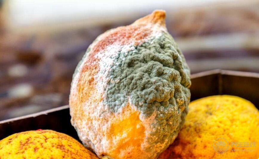 肝病跟吃關系大？想肝臟健康，少吃4類食物