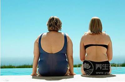 掌握身體發胖的原因輕松瘦身