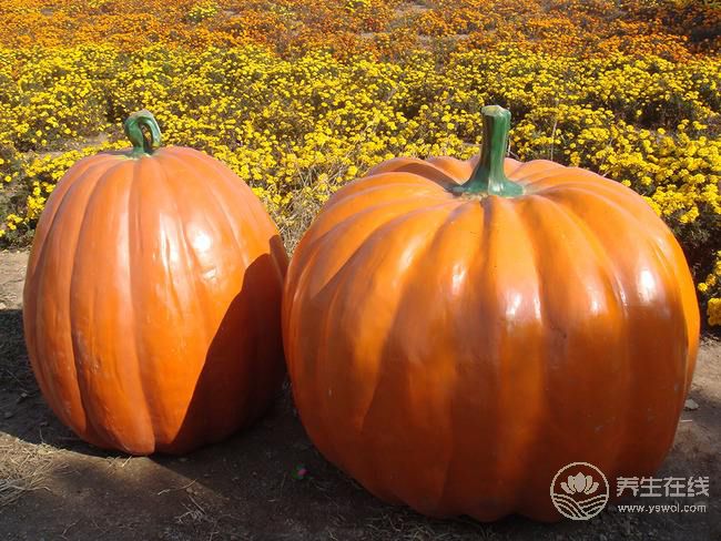 女人常吃6種食物，補血養(yǎng)氣，人年輕