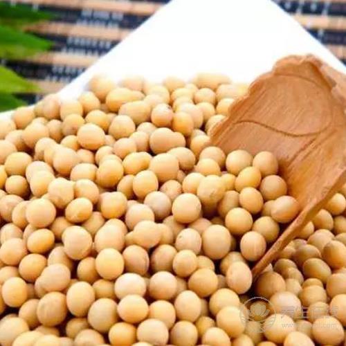 五谷雜糧談養生，長壽抗癌好幫手